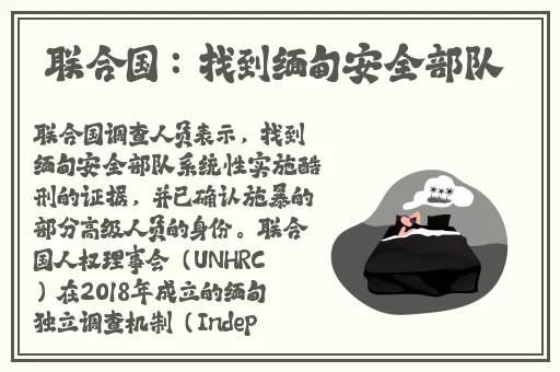 小猪视频 在线播放